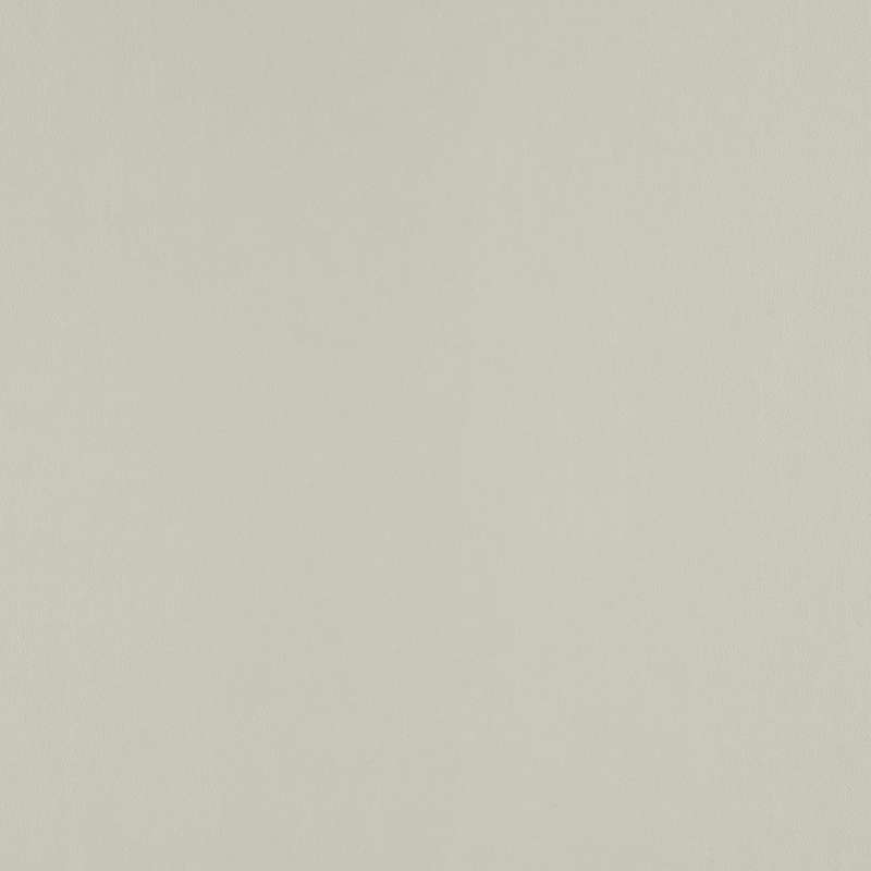 Ledger Dove