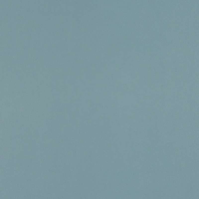 Ledger Bluebird