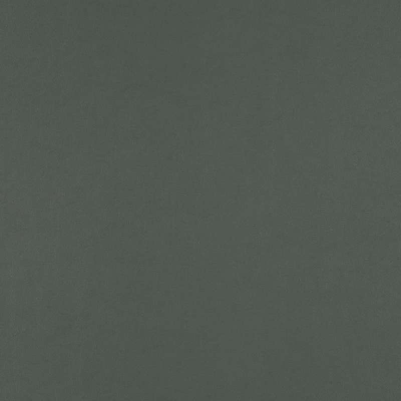 Ledger Pine