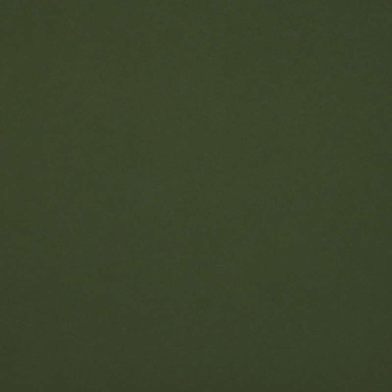 Scuba Conifer