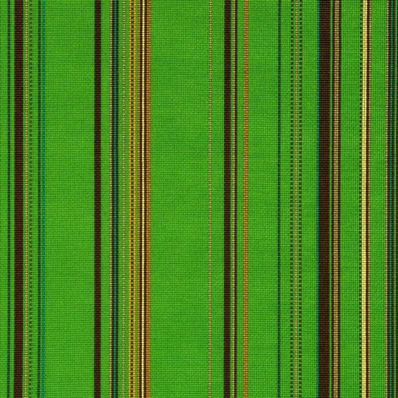 Point Grass