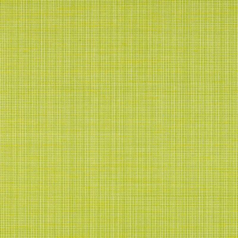 Stature Citron