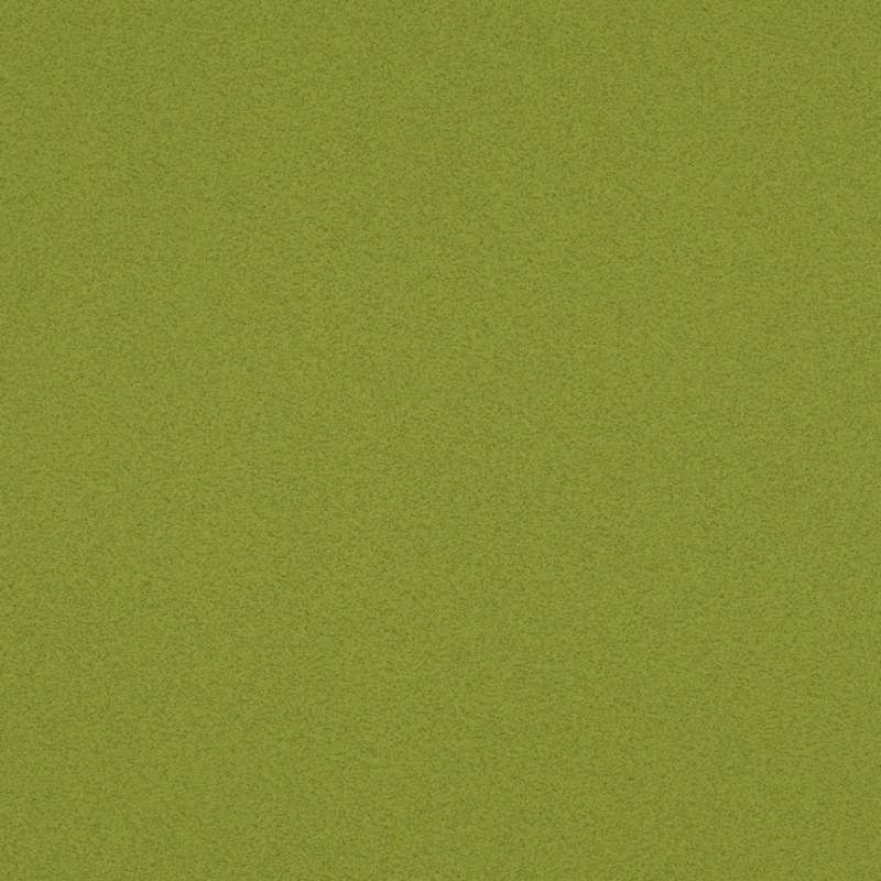 Compound Perennial