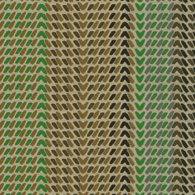 Reef Fin