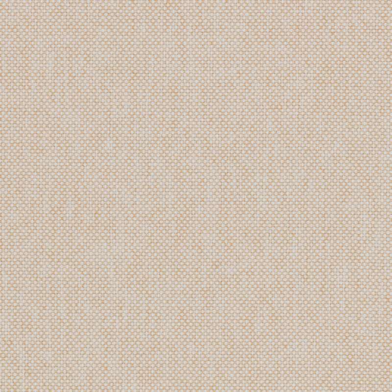 Mode Cottontail