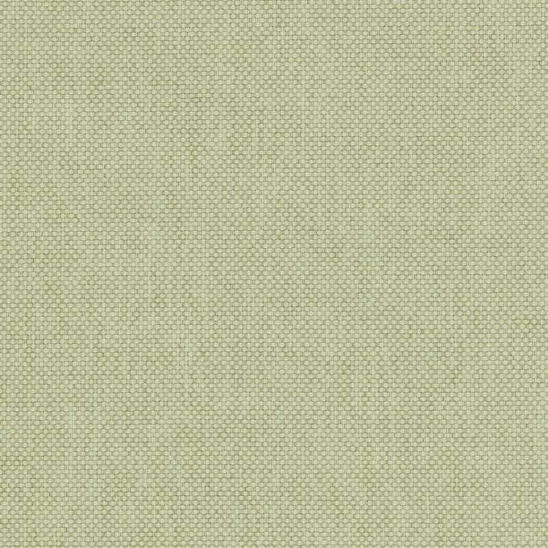 Mode Yucca
