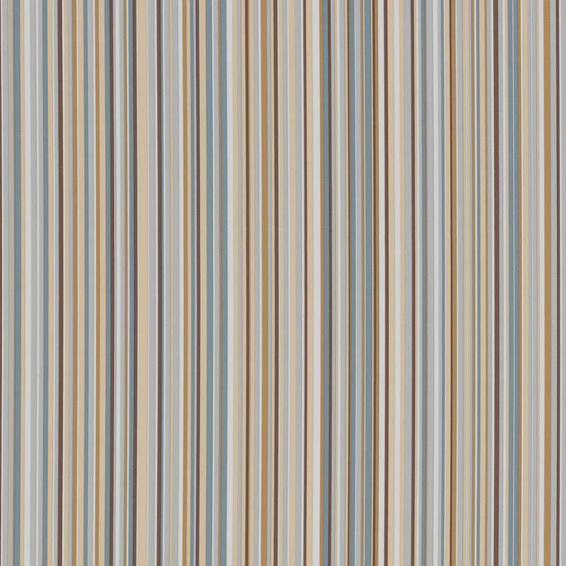 Feature Shitake