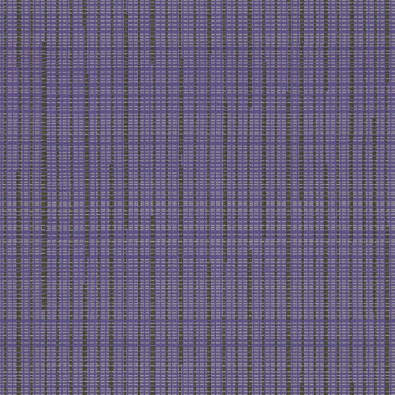 Scuttle Purple