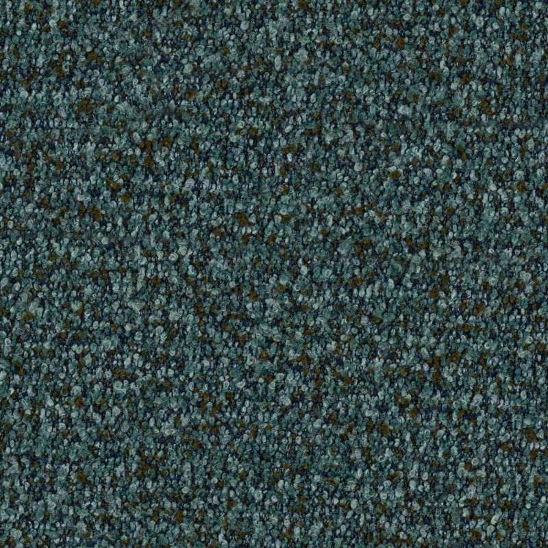 Utopia Spruce