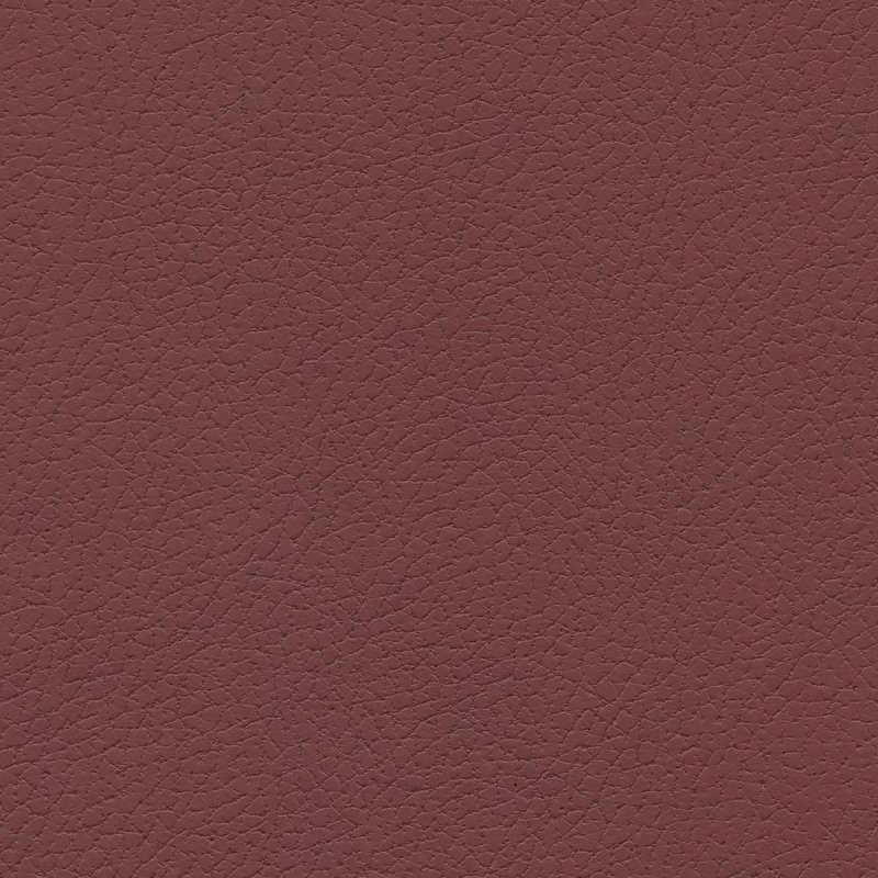 Brisa Beet Root