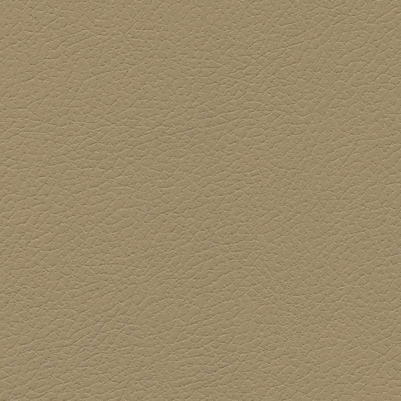 Brisa Ginger