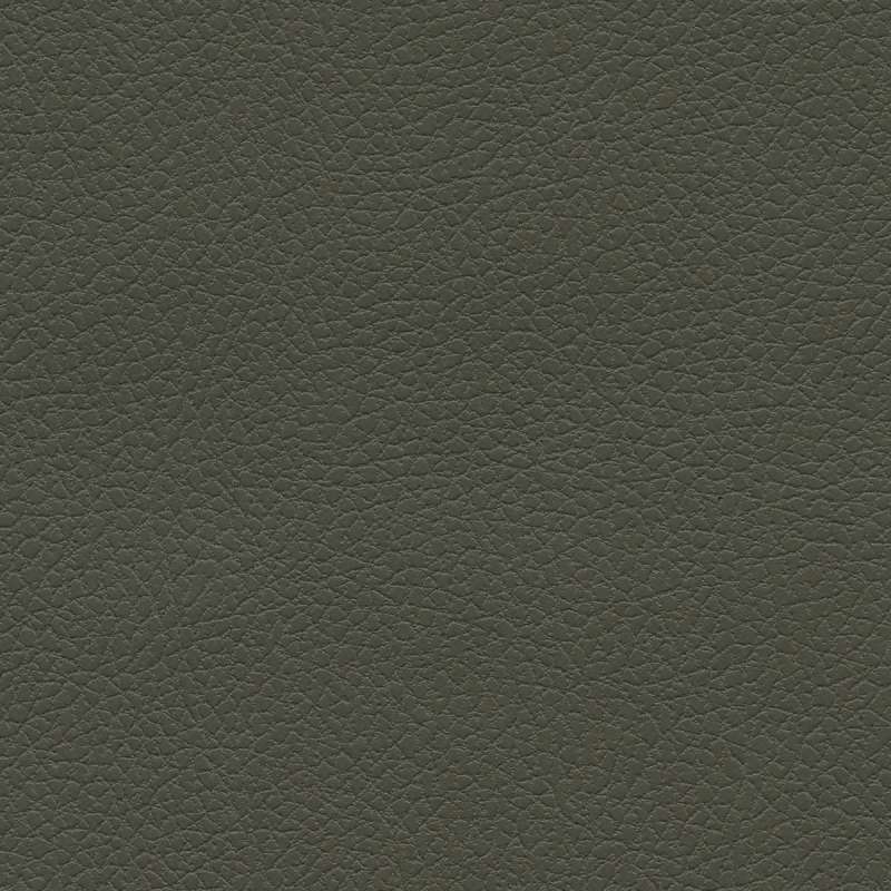 Brisa Olive