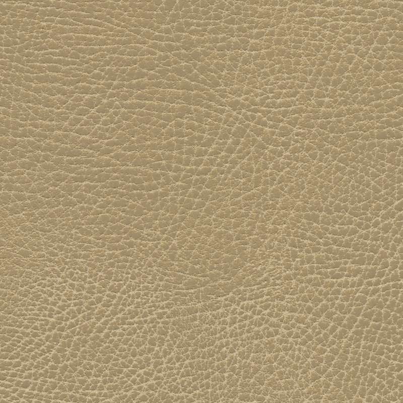 Brisa Distressed Buckskin