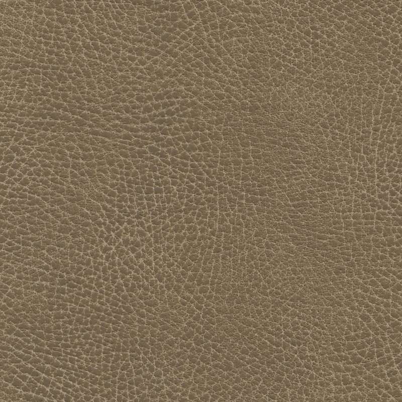 Brisa Distressed Saddle