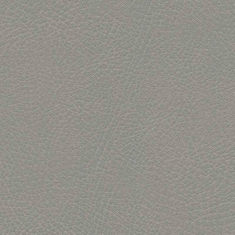 Brisa Distressed Shield