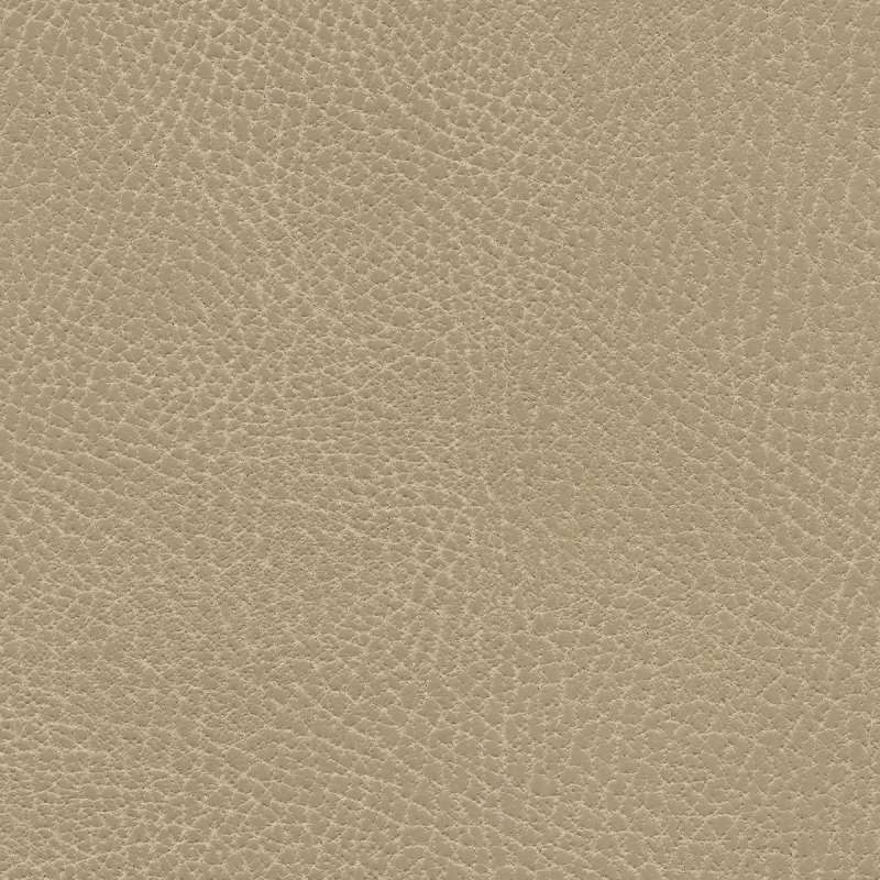 Brisa Distressed Desert Tan