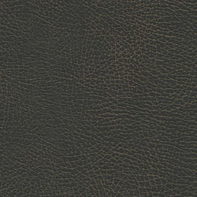 Brisa Distressed Steerhide