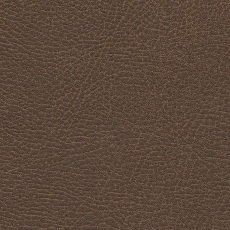 Brisa Distressed Bridle