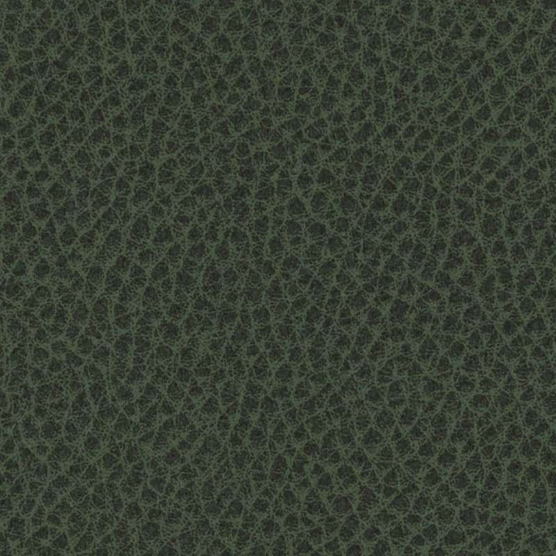 Scholar 13