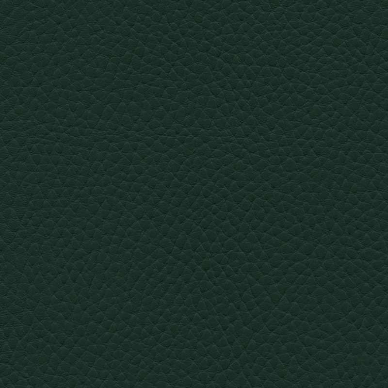 Tottori Dark Spruce