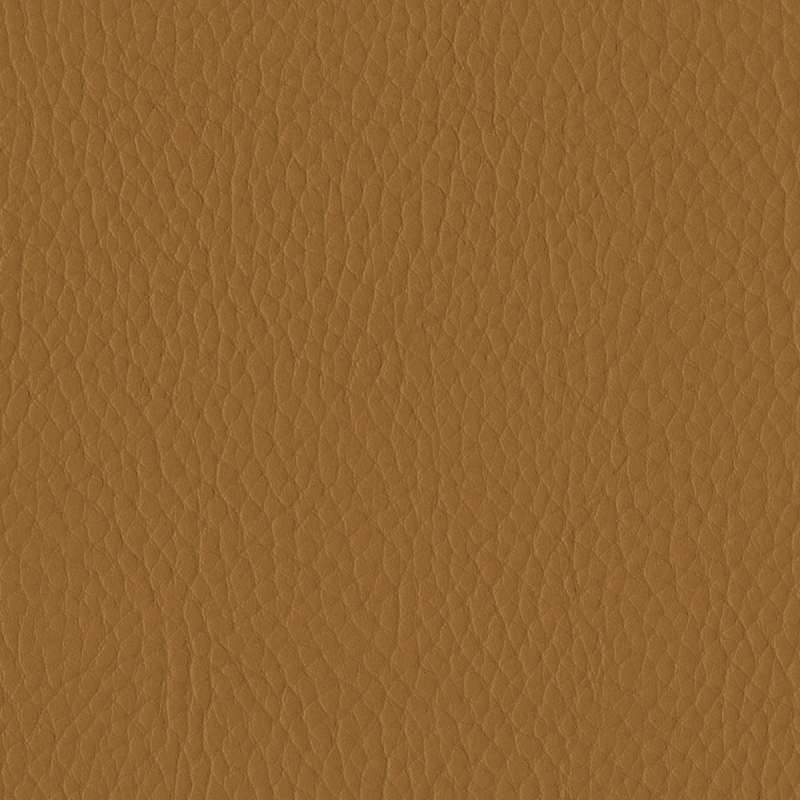 Tottori Burnt Ochre