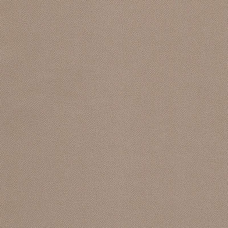 Chroma #1 Stone