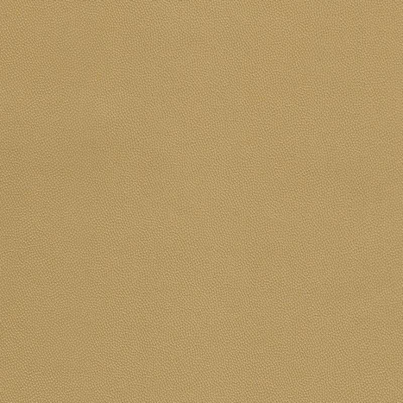 Chroma #3 Wheat