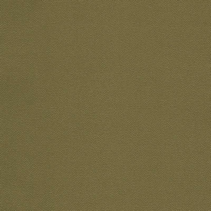 Chroma #7 Avocado