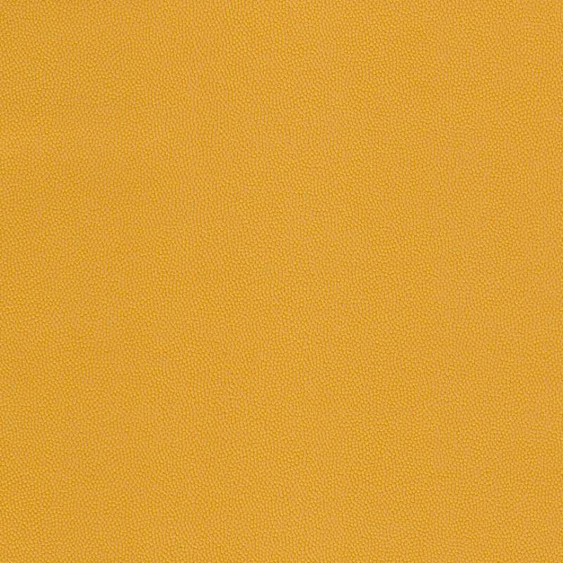 Chroma #8 Sunflower