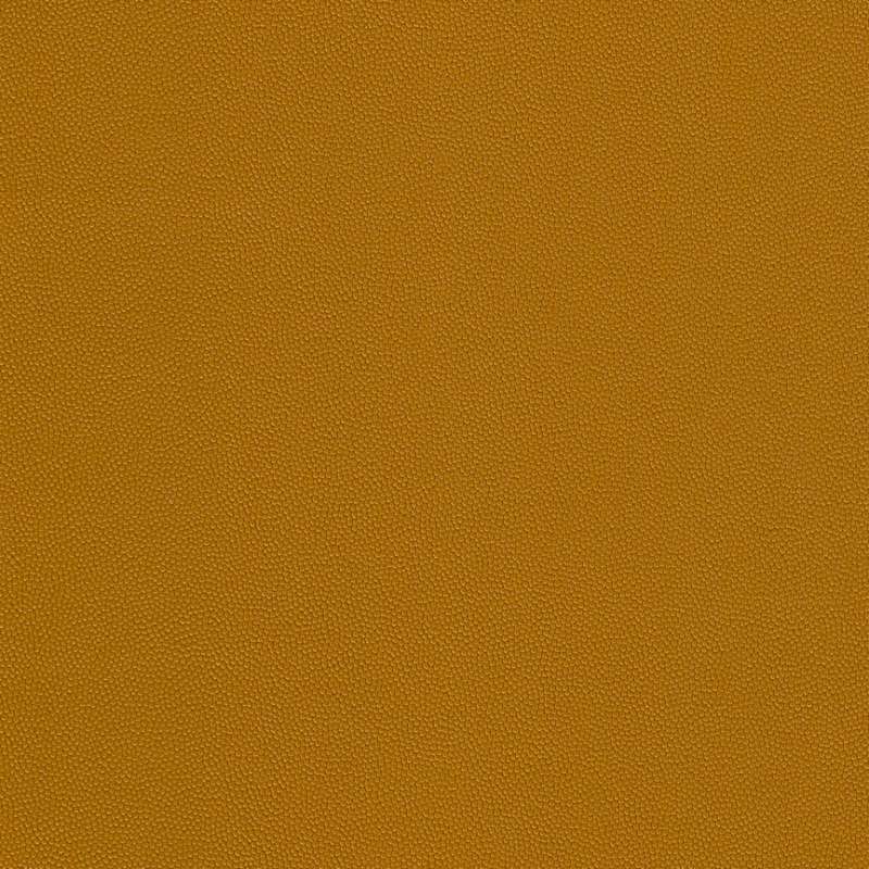 Chroma #9 Ginger