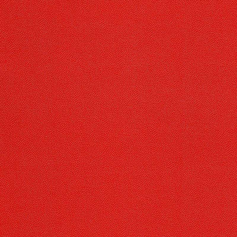 Chroma #11 Watermelon
