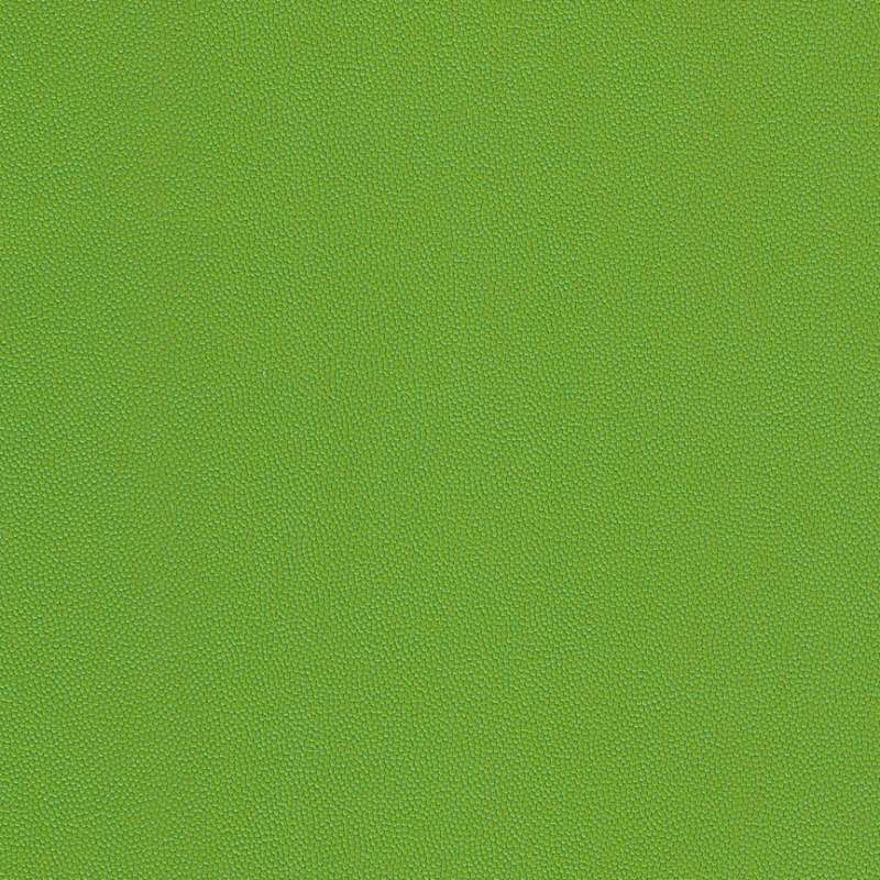 Chroma #16 Kiwi