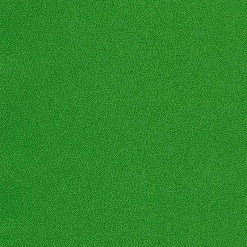 Chroma #17 Kelly
