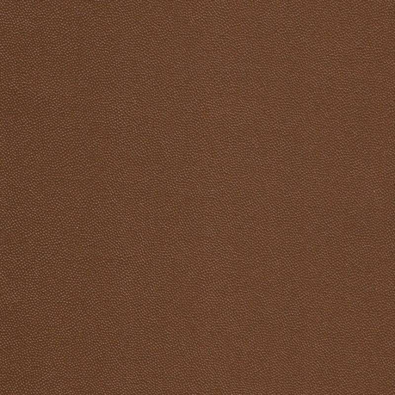 Chroma #25 Penny