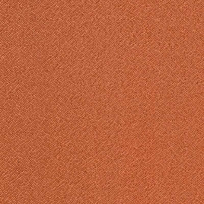 Chroma #27 Coral