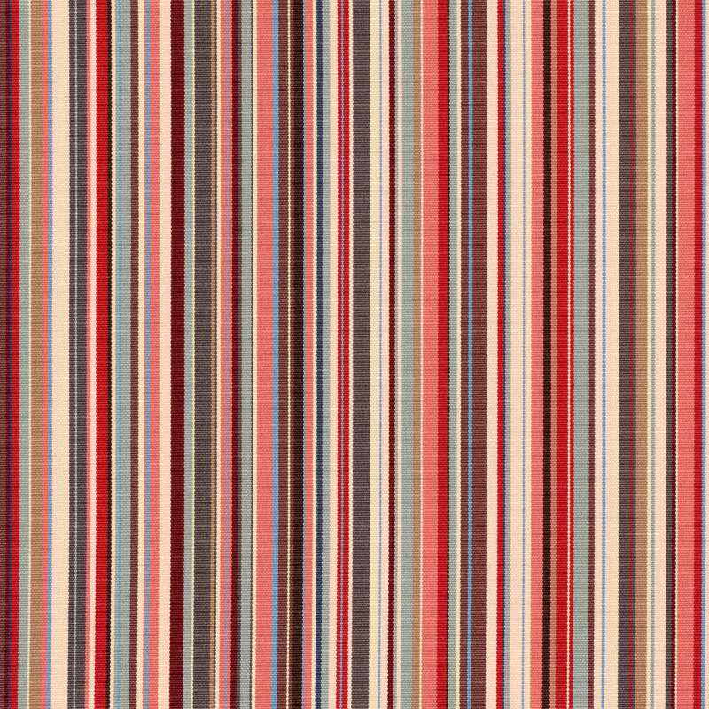 Meraki Stripe 4