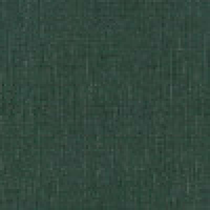 Gather Spruce