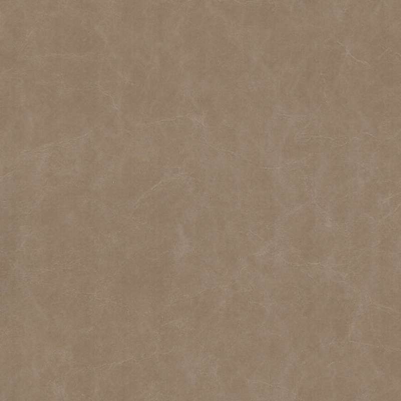 Dakota 2 #26 Latte