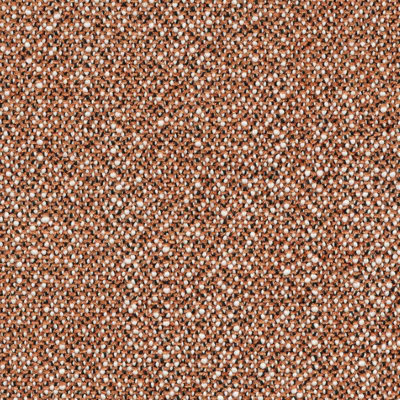 Fizzy 6
