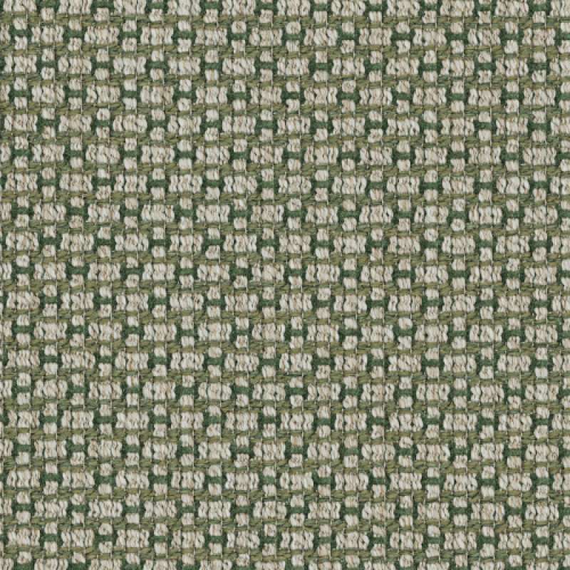 Botany Willow