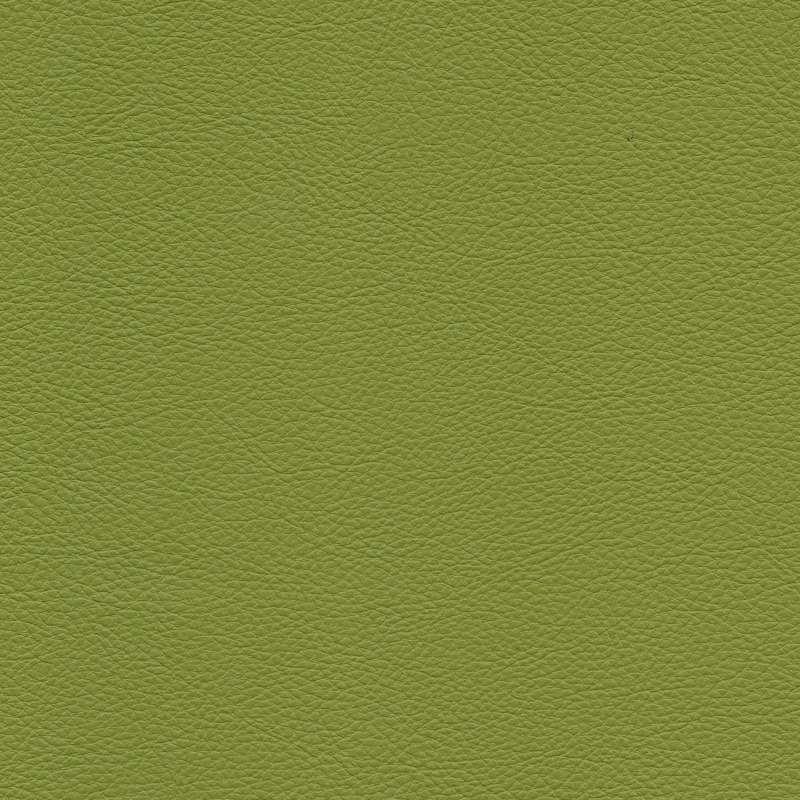 Rodeo #51 Kiwi