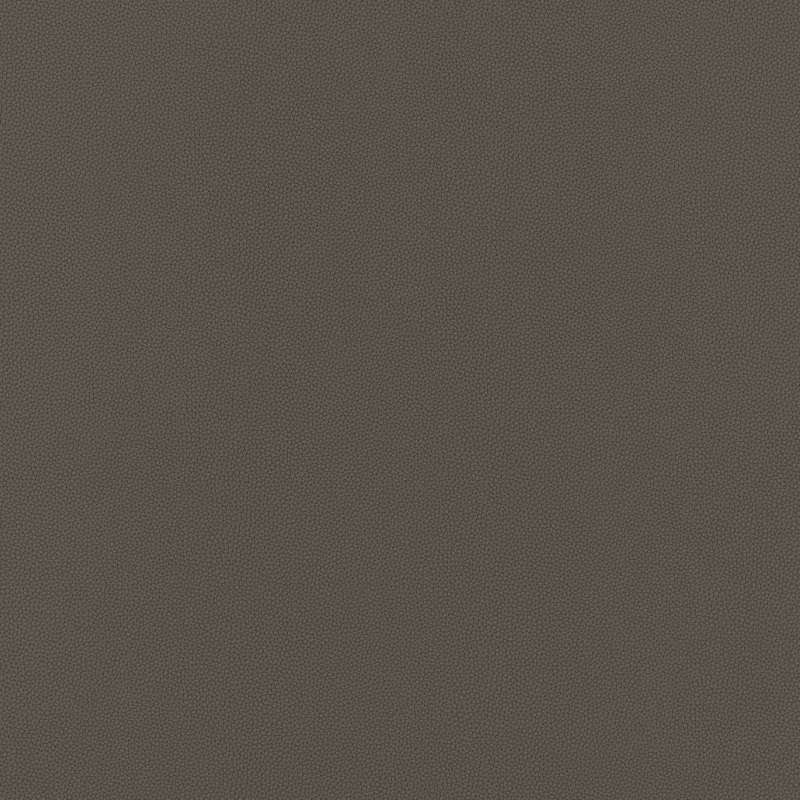 Precision 14