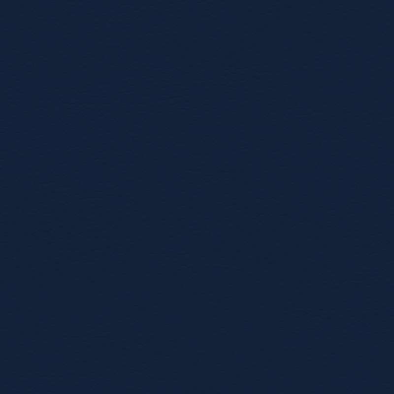 Coast Naval Blue