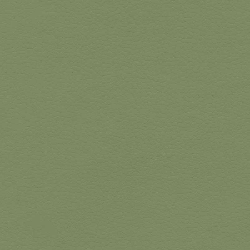 Coast Stem Green