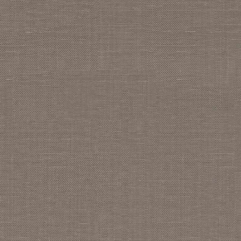 Xorel Strie 805