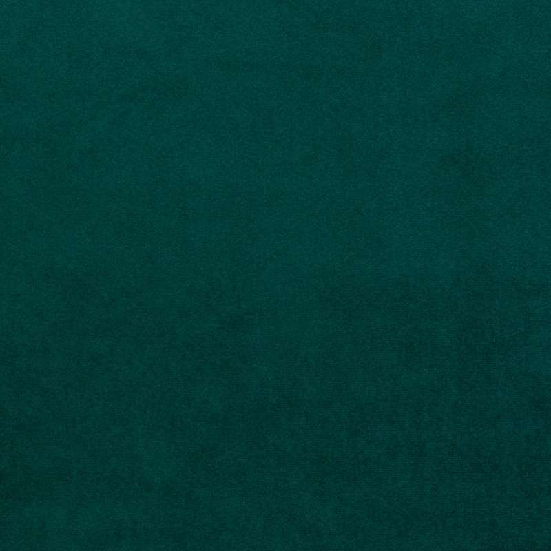 Pigment 19