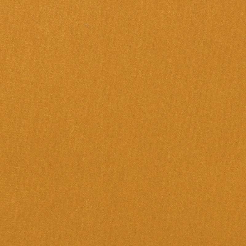 Pigment 7