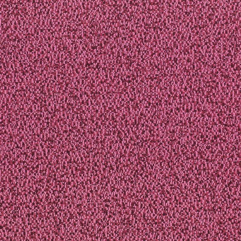 Improv 10