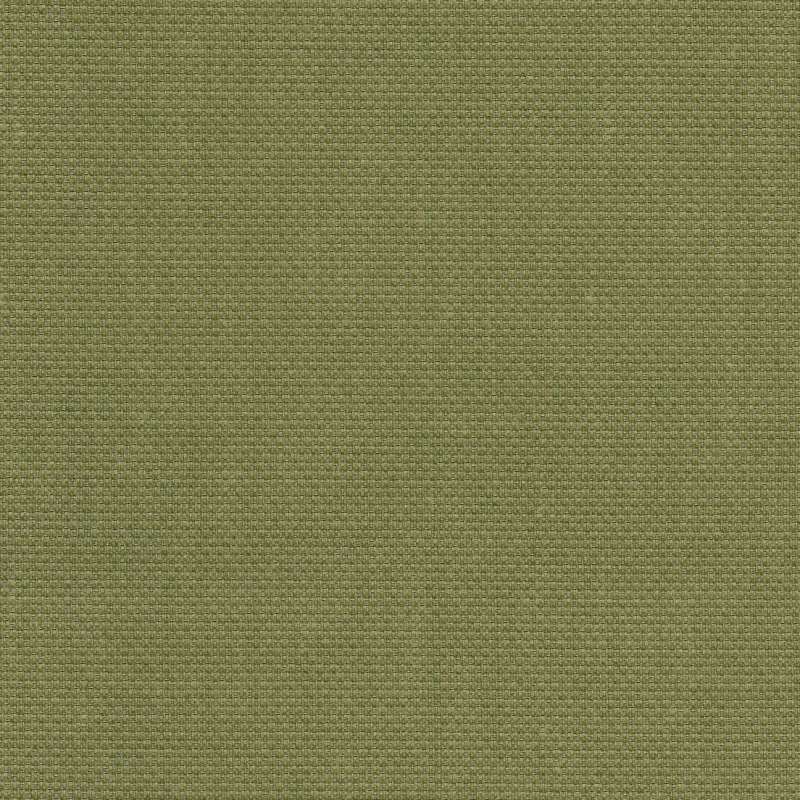 Illusion #7 Herb