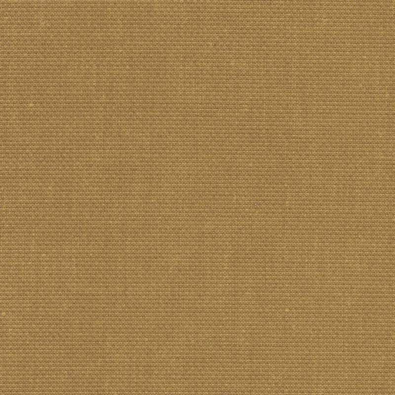 Illusion #13 Goldenrod
